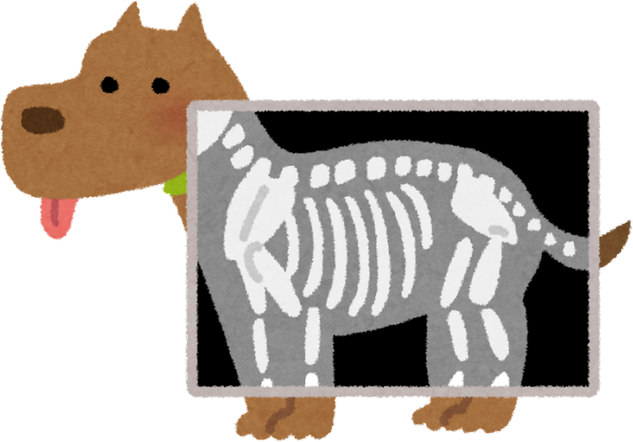 Illustration of a Dog with X-Ray Showing Skeleton